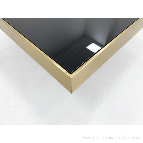 Modern Luxury coffee table